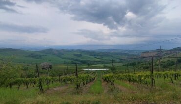 Azienda Agricola Mordini