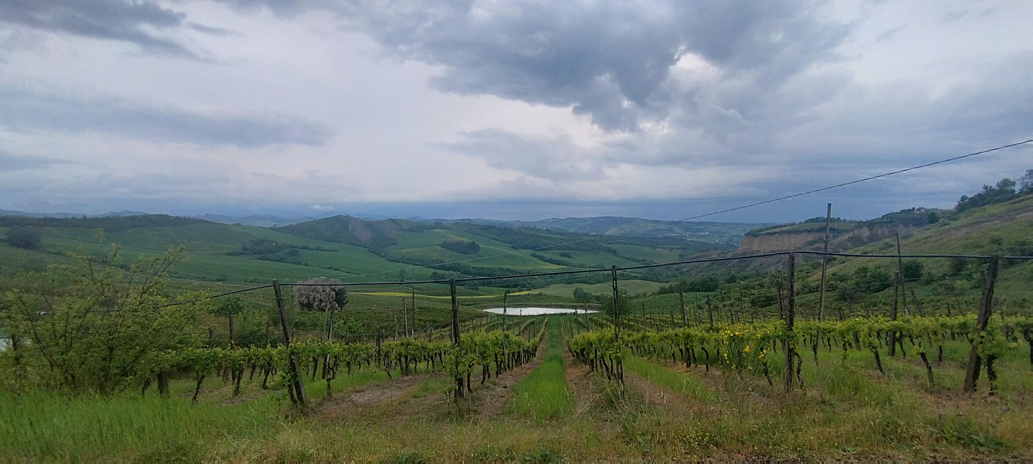 Azienda Agricola Mordini
