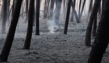 Incendio Boschivo