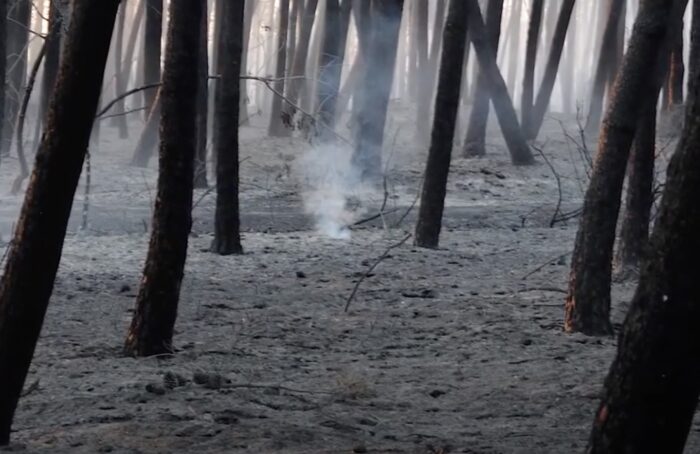 Incendio Boschivo