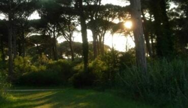 Pineta Lido Dante Classe