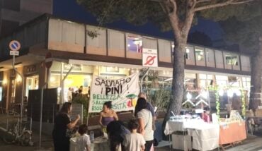 Salviamo Pini Lido Di Savio