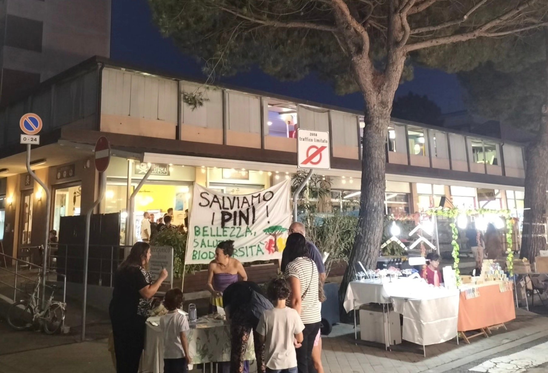 Salviamo Pini Lido Di Savio