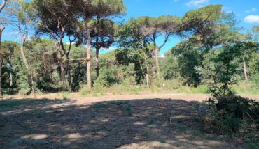 Parco Naturale Progetto Rimboschimento2