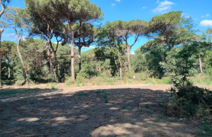 Parco Naturale Progetto Rimboschimento2