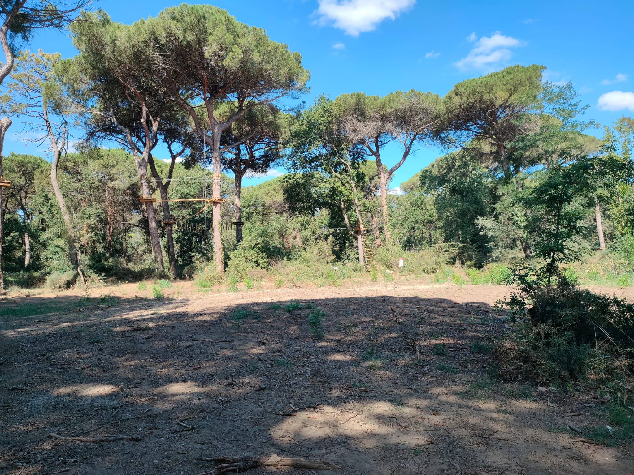 Parco Naturale Progetto Rimboschimento2