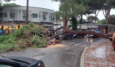 Pino Caduto Milano Marittima 8 Settembre 2024