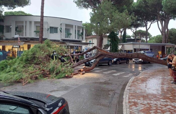 Pino Caduto Milano Marittima 8 Settembre 2024