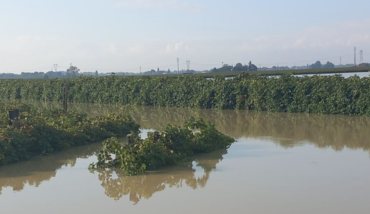 Coldiretti Alluvione