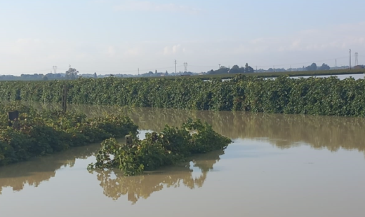 Coldiretti Alluvione
