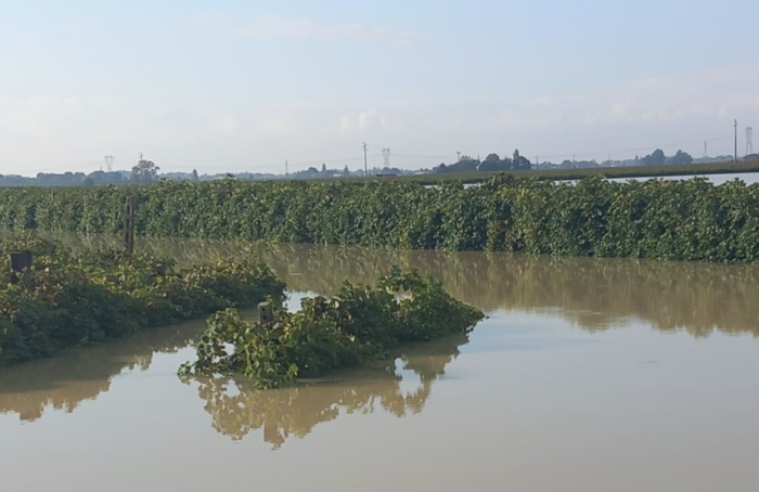 Coldiretti Alluvione