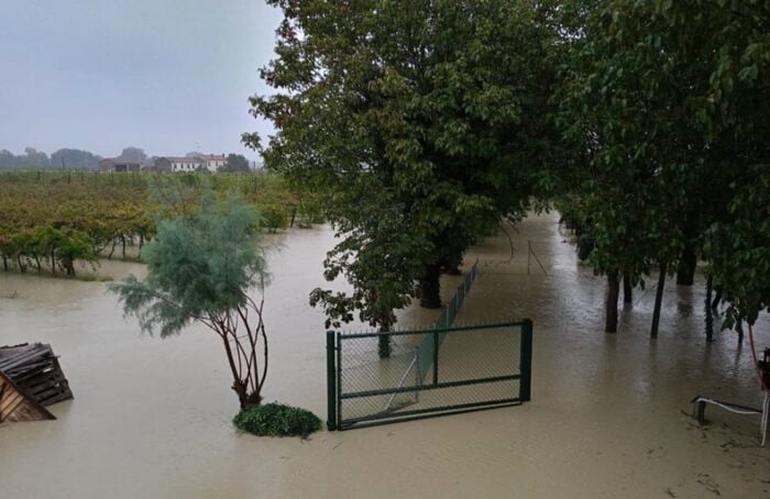 Foto Fabio Casadei Boncellino