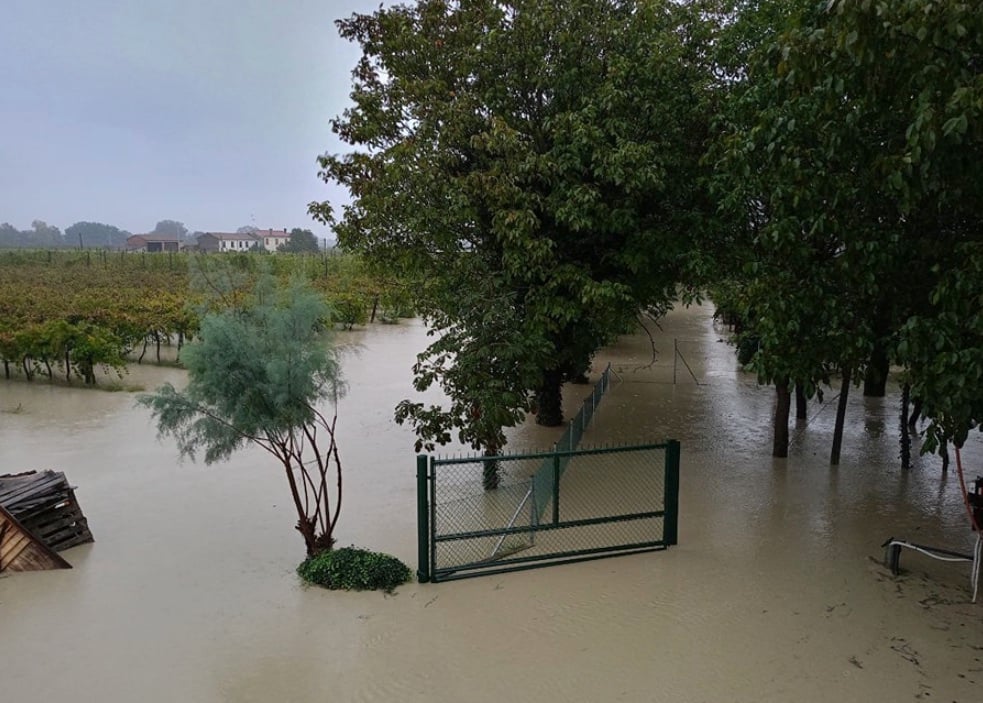 Foto Fabio Casadei Boncellino