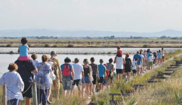 Salina Di Cervia Escursione A Piedi 01 OK 1935x1090