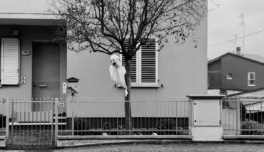 A Ravenna