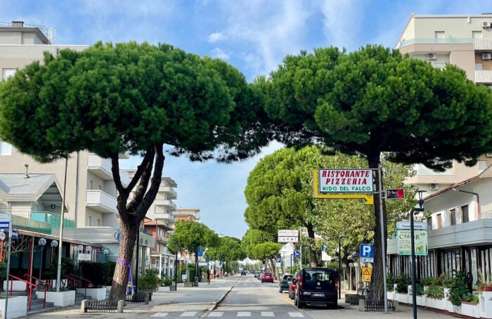 2024 09 Viale Romagna LidoSavio PhGGamberini