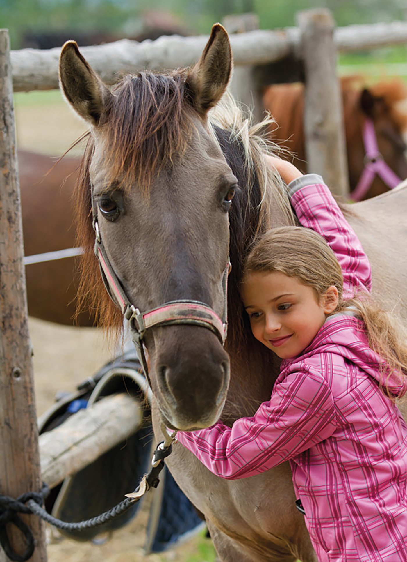 Cavallo Bambina 600x827 2 Copia