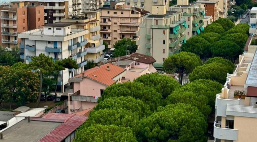 Un anno di battaglia tra Comune e cittadini: ora il destino di 49 pini dipende dai giudici