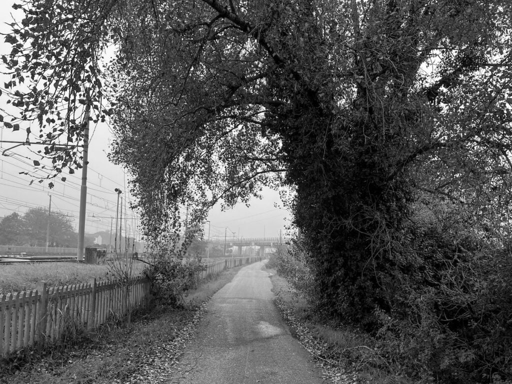 Il viale lungo