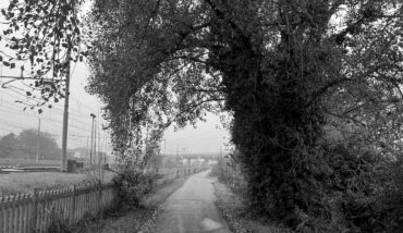 Il Viale Lungo
