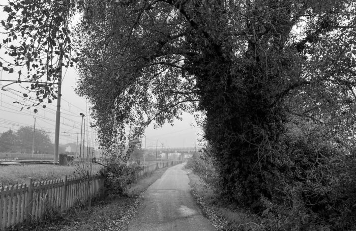 Il Viale Lungo