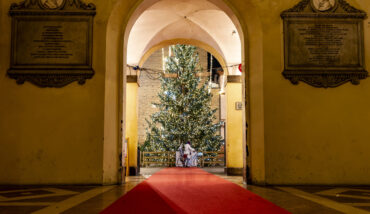 Albero Di Natale 2024 Preview
