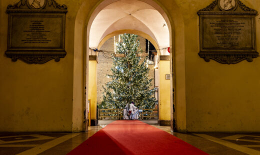 Albero Di Natale 2024 Preview