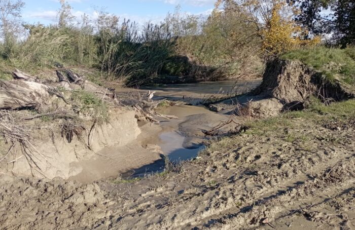 PHOTO 2024 11 22 13 40 06