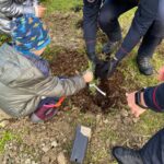 Alberi Scuola Classe