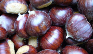 Castagne 