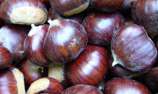 Castagne