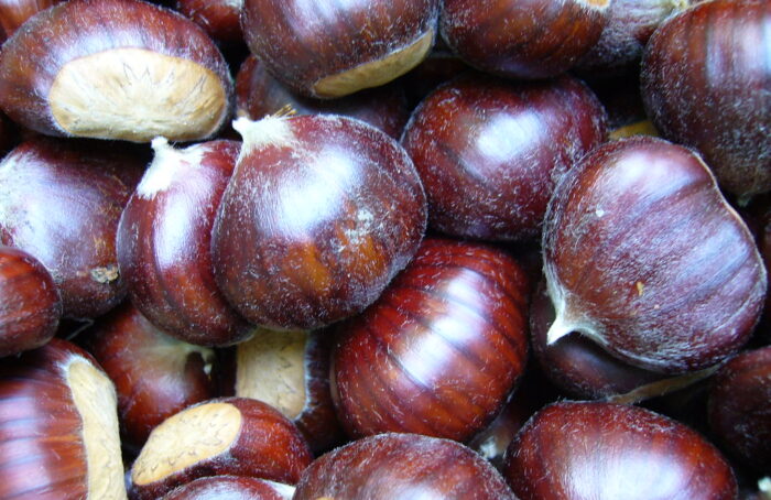Castagne
