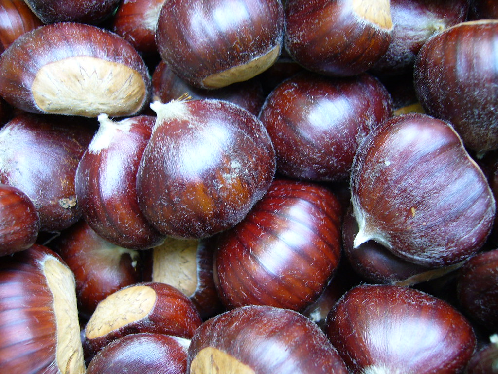 Castagne