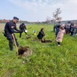 Piantumazione Alberi Classe