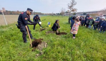 Piantumazione Alberi Classe