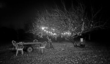 La Notte