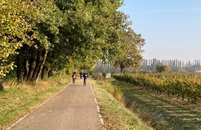 CanaleNaviglioZanelli2