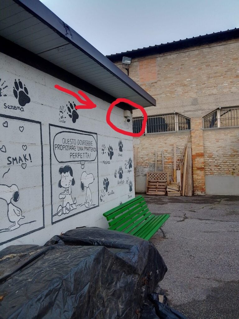 Foto 2