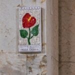 Foto Di Elena Fiore 2
