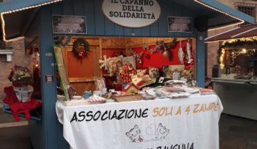 Gattile Ravenna
