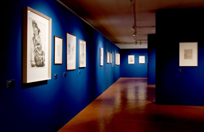 Museo Bagnacavallo