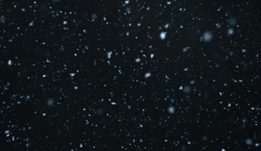 Neve