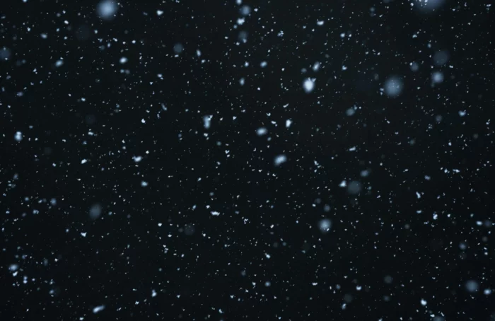 Neve