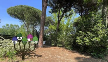 Parco Naturale Cervia Accessibile