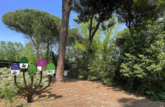 Parco Naturale Cervia Accessibile