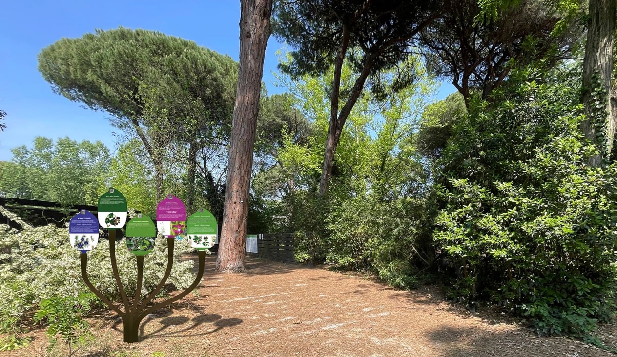 Parco Naturale Cervia Accessibile