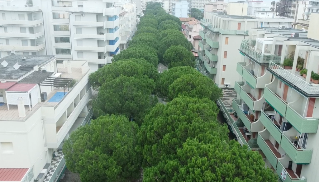 2024 10 24 Lido Savio Viale Romagna