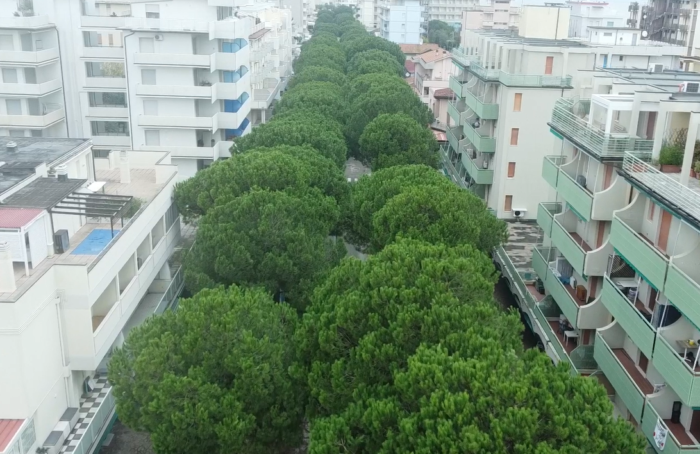 2024 10 24 Lido Savio Viale Romagna