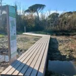 Percorsi Naturalistici Pineta 1