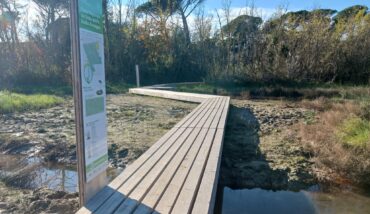 Percorsi Naturalistici Pineta 1